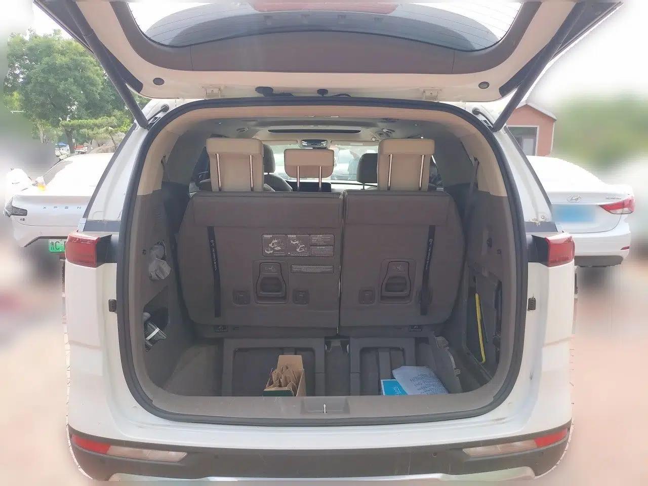 Kia Carnival 2021 2.0T Luxury Edition — миниатюра 19