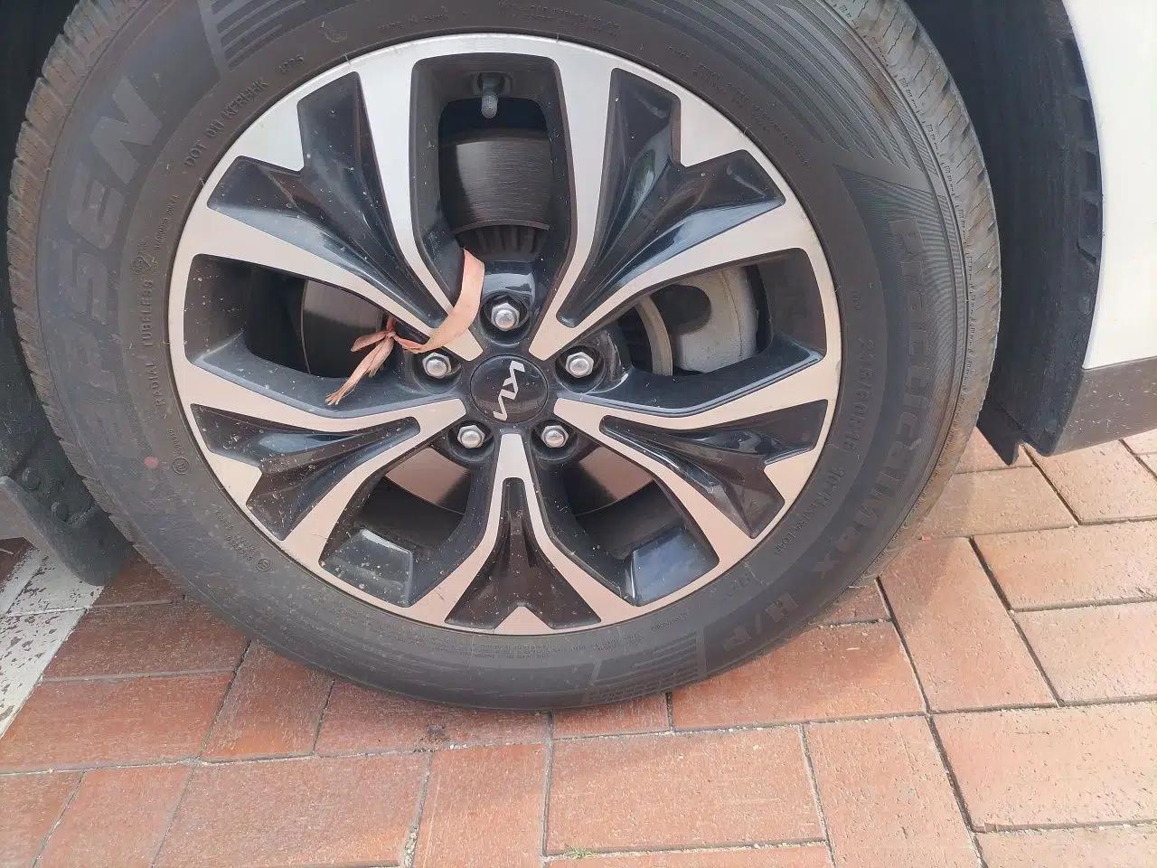 Kia Carnival 2021 2.0T Luxury Edition — миниатюра 8