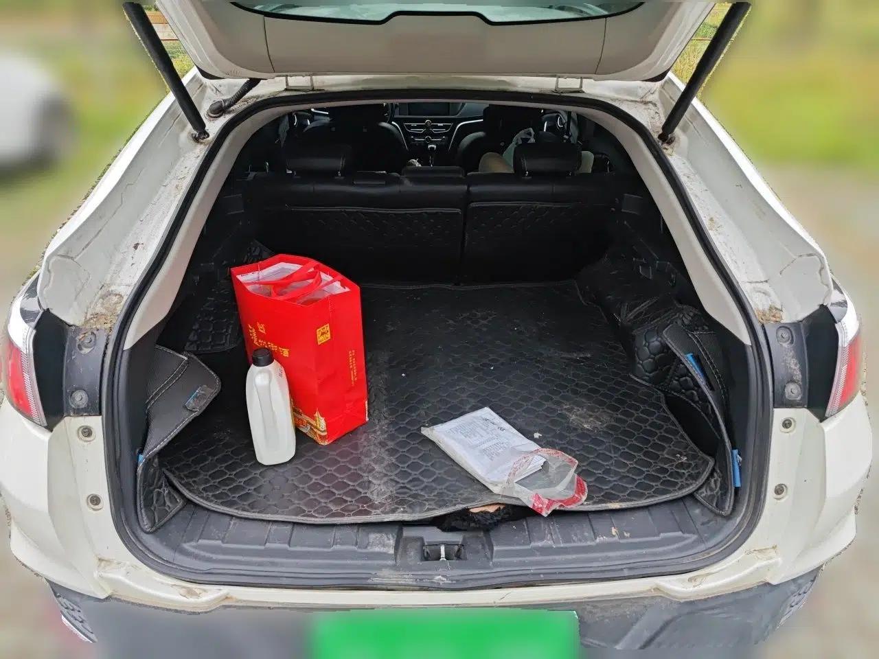 Venucia T90 2017 2.0L CVT Smart Edition — миниатюра 19