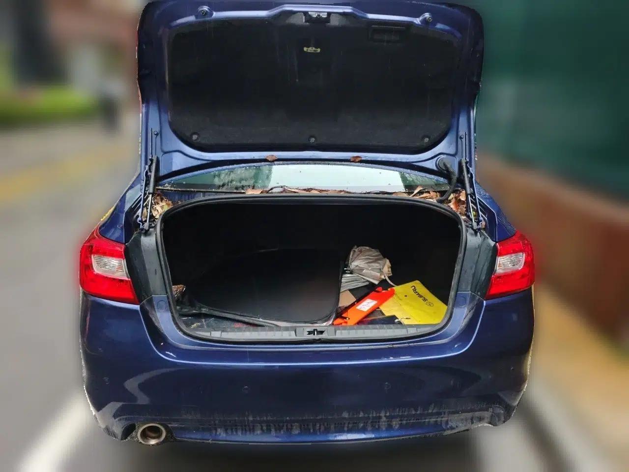 Subaru Legacy 2017 2.5i All-Wheel-Drive Glory Edition — миниатюра 19