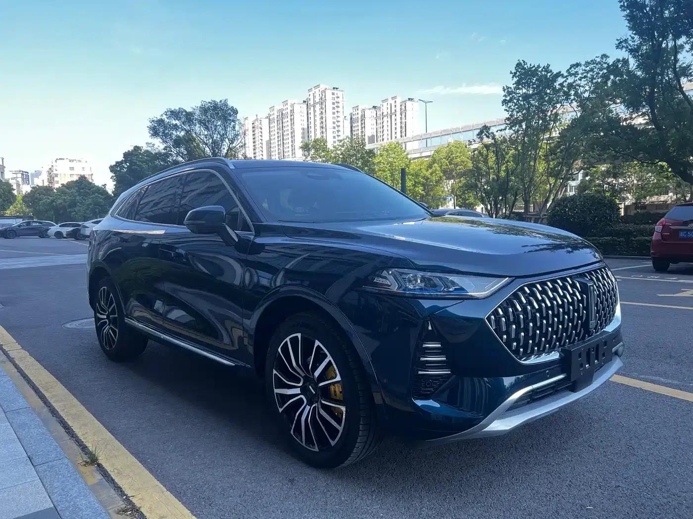 Wey brand Mocha 2021 2.0T 4WD Special Edition — миниатюра 2