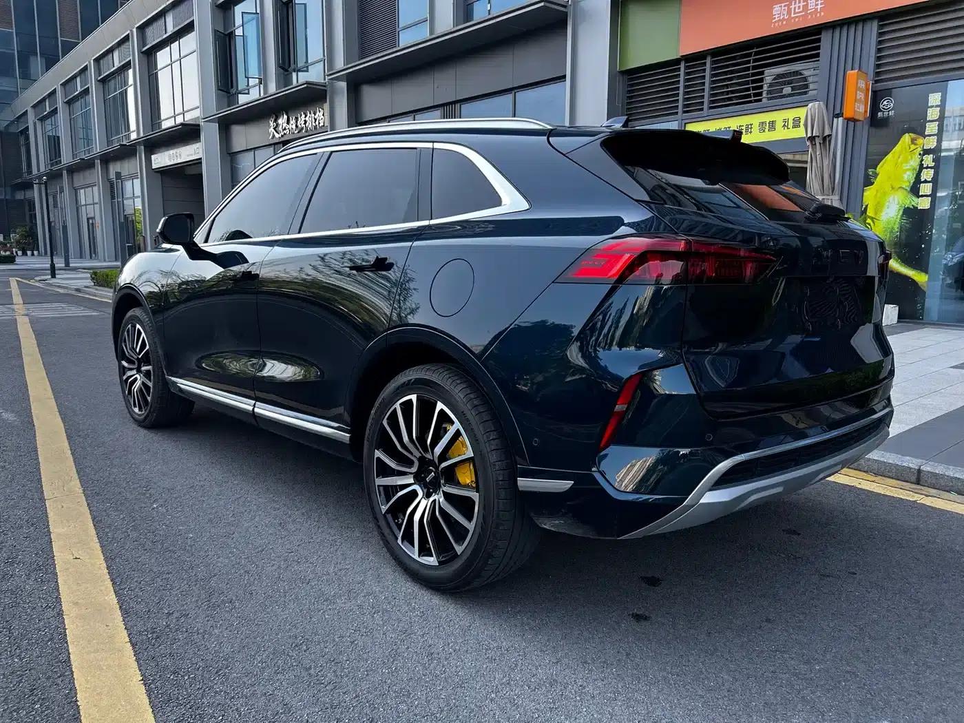 Wey brand Mocha 2021 2.0T 4WD Special Edition — миниатюра 15