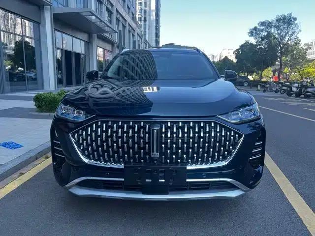 Wey brand Mocha 2021 2.0T 4WD Special Edition