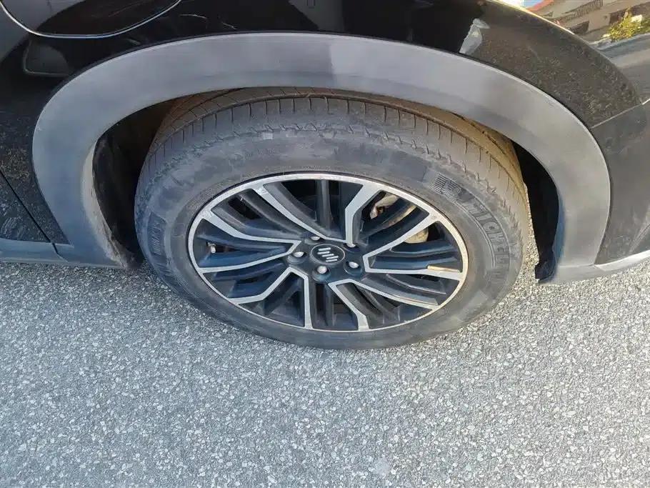 Weltmeister W6 2021 520km PRO All-Round Edition — миниатюра 6