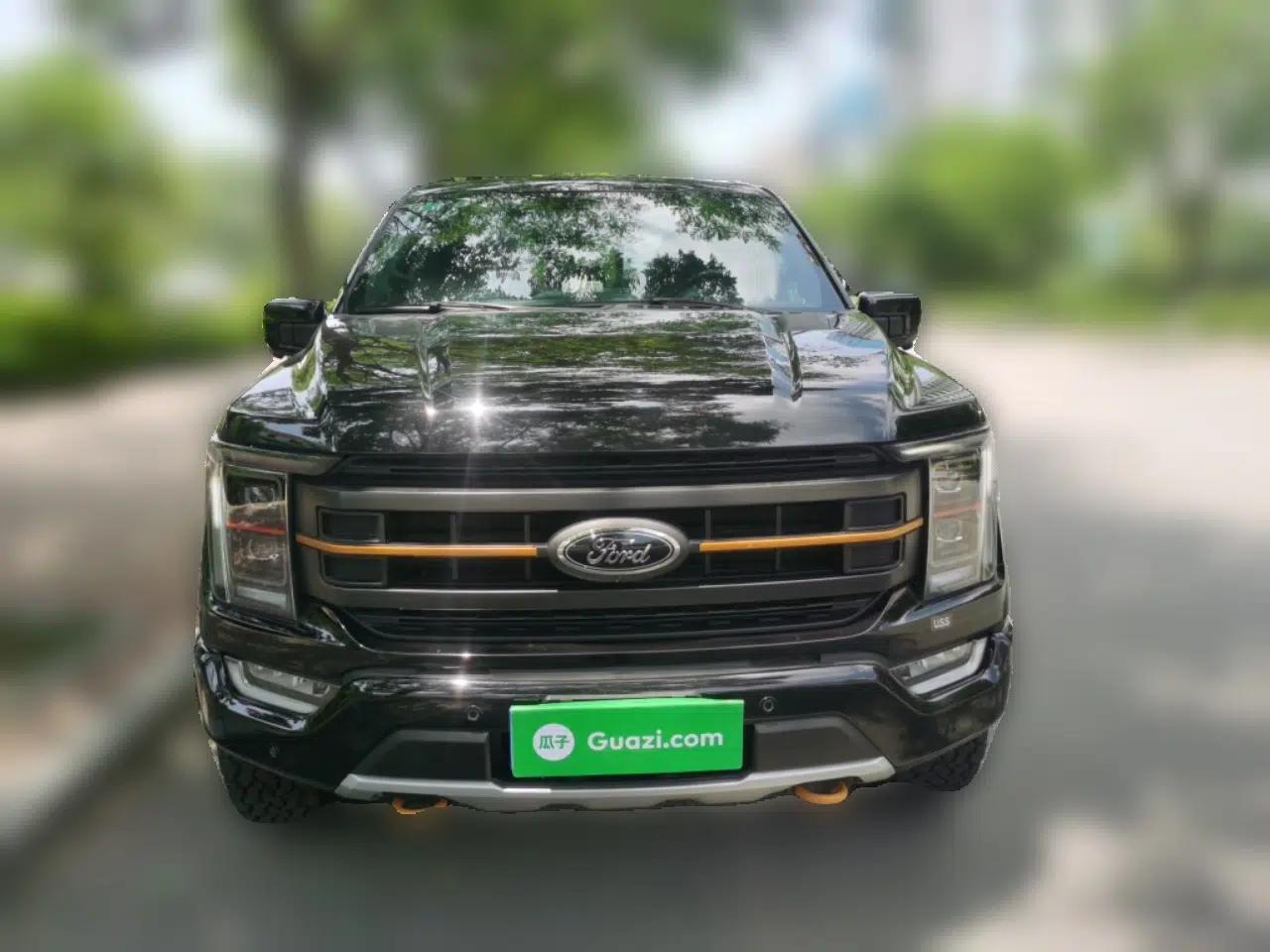Ford F-150 — миниатюра 2