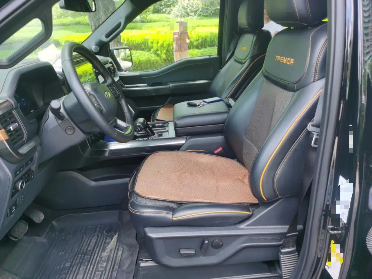 Ford F-150 — миниатюра 15