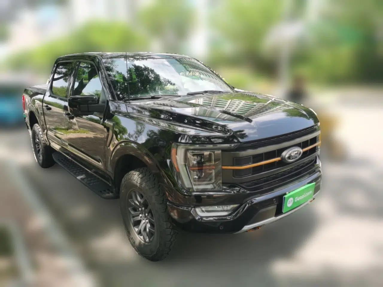 Ford F-150 — миниатюра 3
