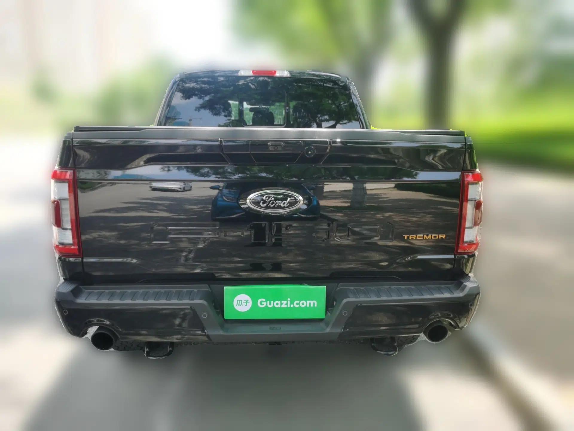 Ford F-150 — миниатюра 5
