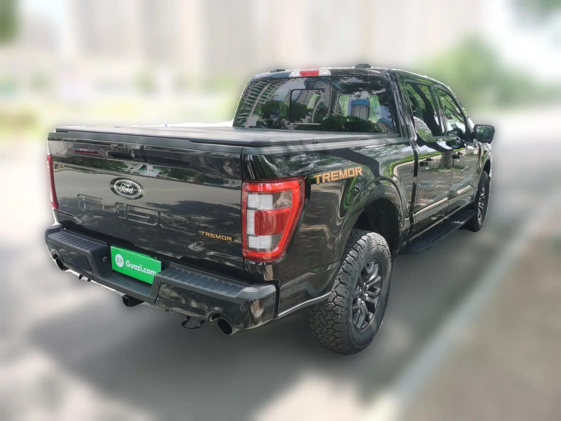 Ford F-150 — миниатюра 6