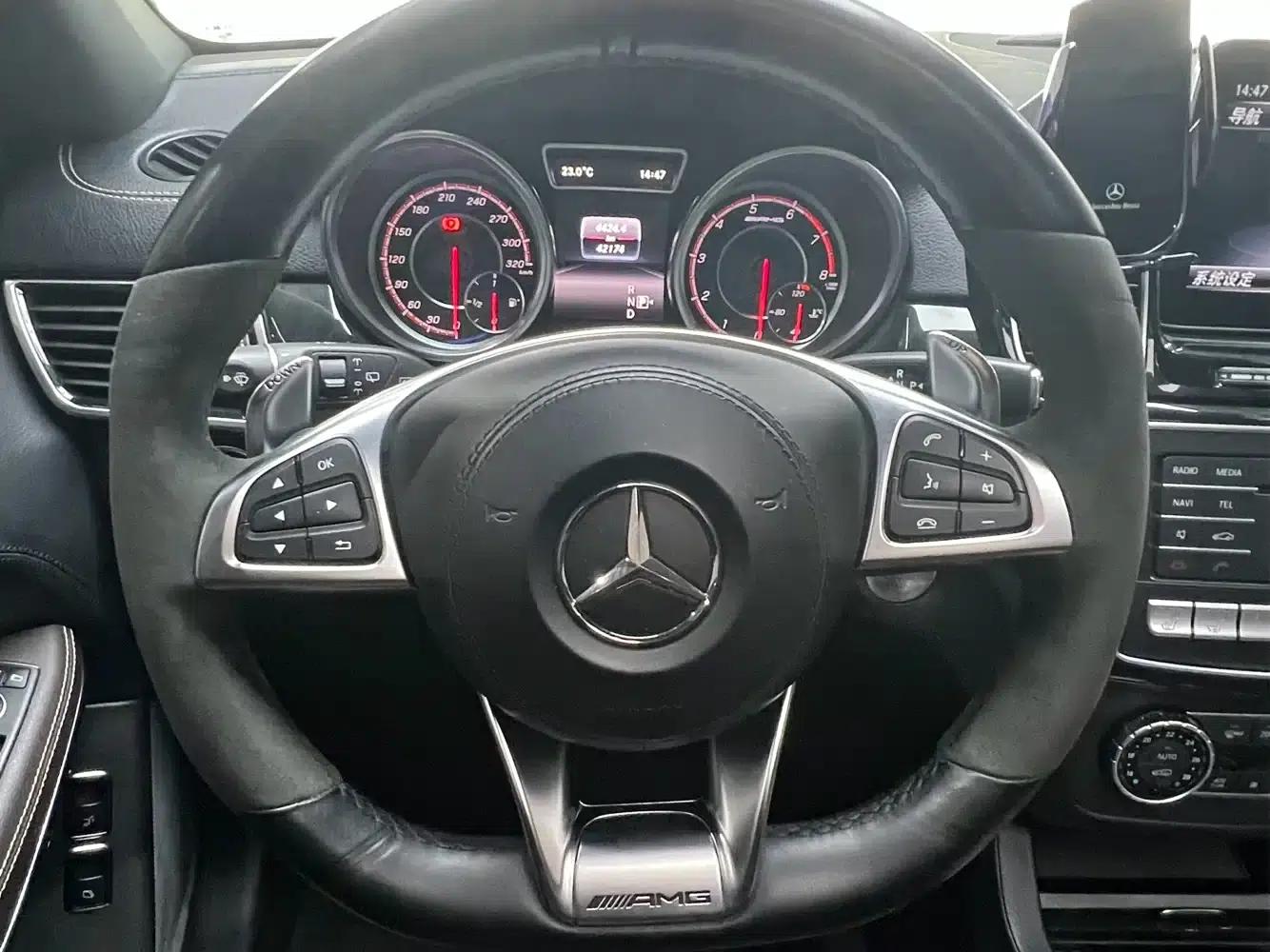 2017 Mercedes-Benz GLS AMG 63 4MATIC — миниатюра 13