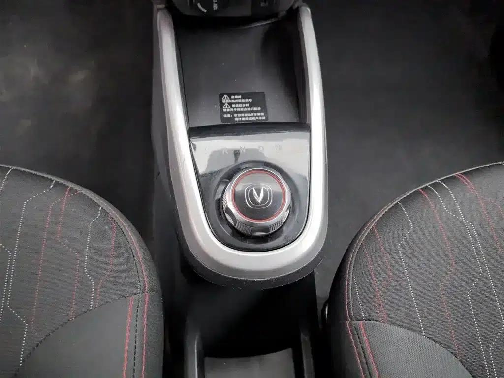 Benben 2015 1.4L IMT Premium Edition (National V Emission Standard) — миниатюра 13