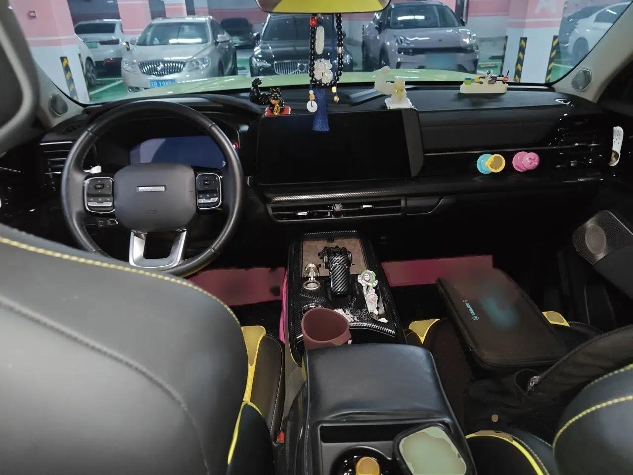 Haval X DOG 2022 1.5T DCT Four-Wheel Drive Trendy Wild Edition — миниатюра 18