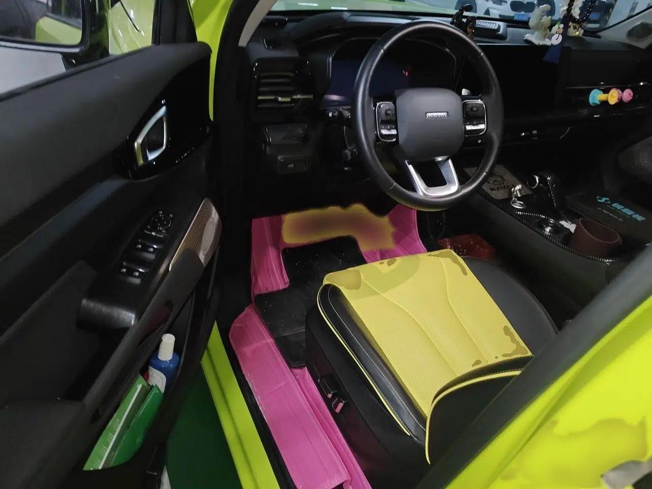 Haval X DOG 2022 1.5T DCT Four-Wheel Drive Trendy Wild Edition — миниатюра 19