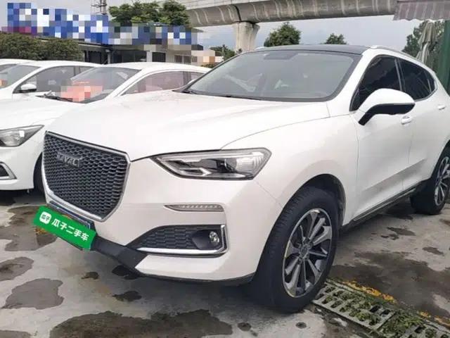 Haval F5 2019 National Trend Edition 1.5T i-Trend China VI Standard