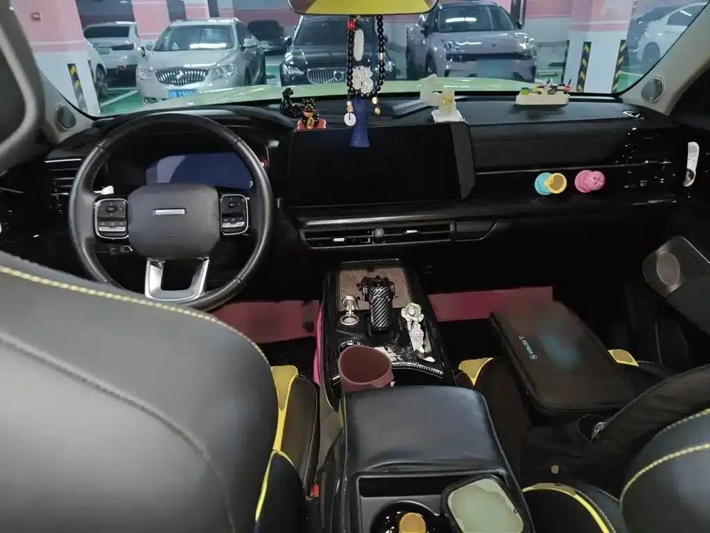 Haval Cool Dog 2022 1.5T DCT 4WD Trendy Wild Edition — миниатюра 13