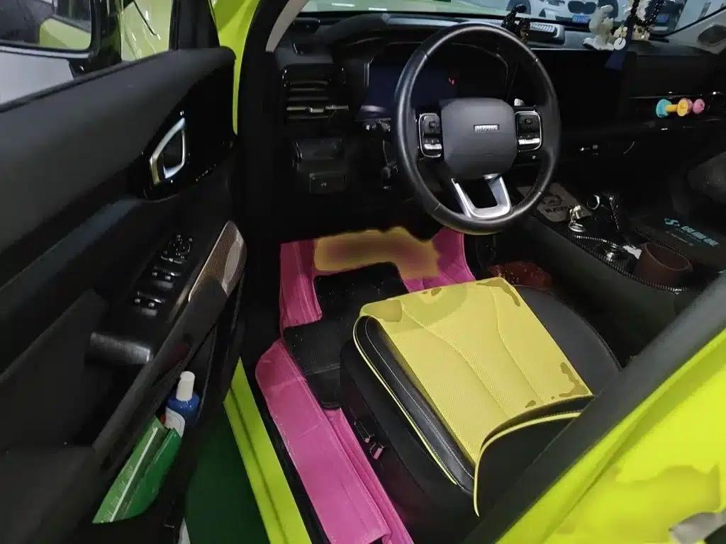 Haval Cool Dog 2022 1.5T DCT 4WD Trendy Wild Edition — миниатюра 14