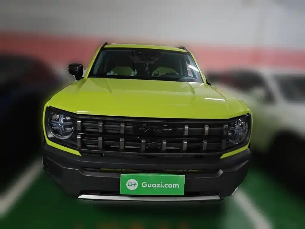Haval Cool Dog 2022 1.5T DCT 4WD Trendy Wild Edition — миниатюра 24