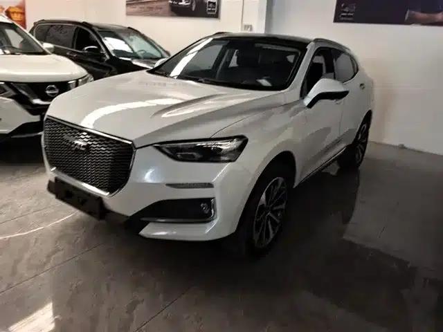 Haval F5 2019 National Trend Edition 1.5T i-Trend National VI