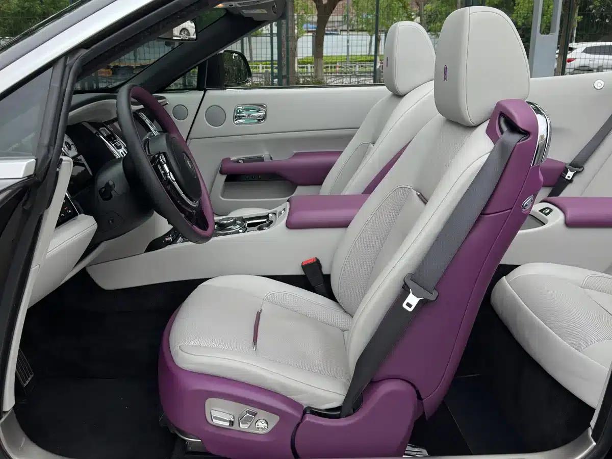 2018 Dawn 6.6T Standard Edition — миниатюра 11