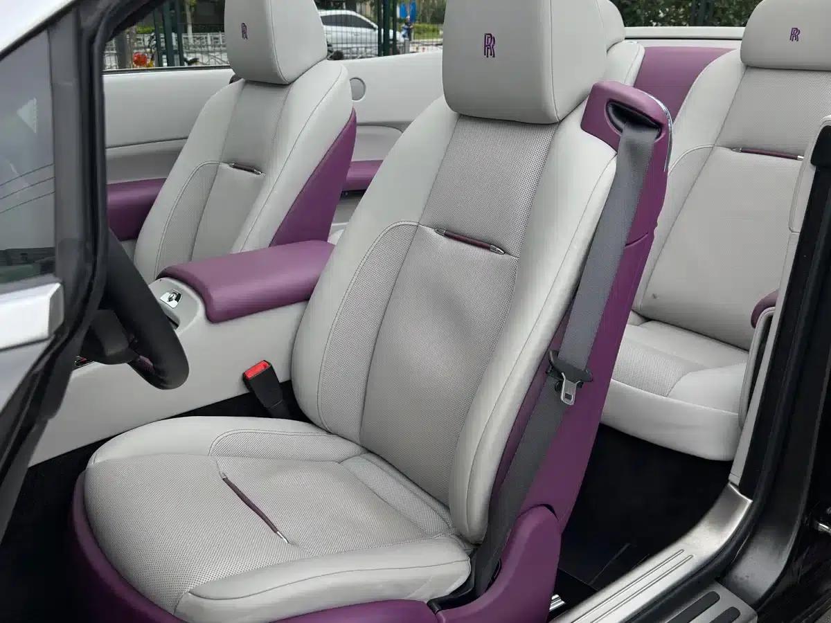 2018 Dawn 6.6T Standard Edition — миниатюра 12