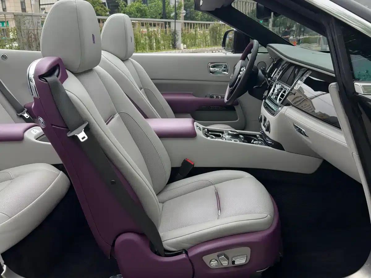 2018 Dawn 6.6T Standard Edition — миниатюра 14