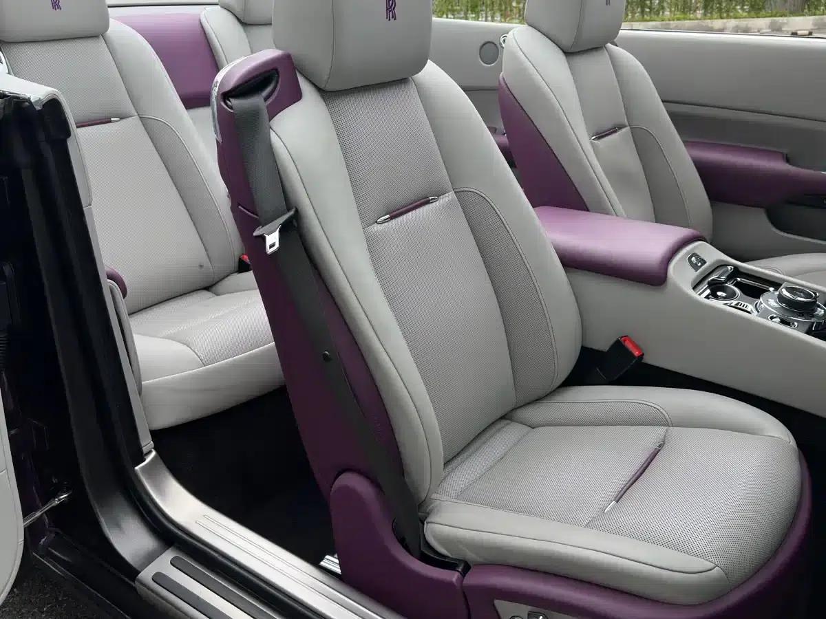 2018 Dawn 6.6T Standard Edition — миниатюра 15