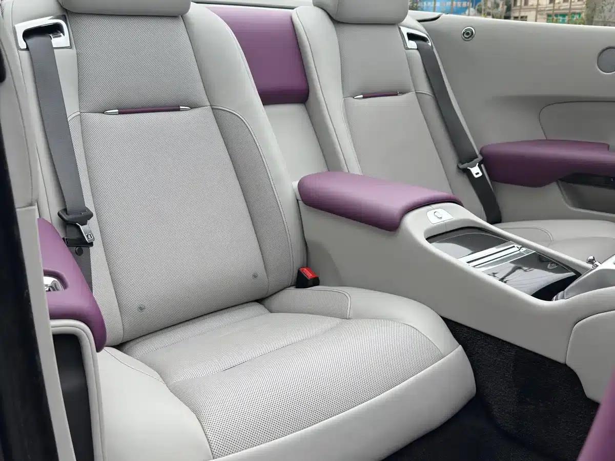 2018 Dawn 6.6T Standard Edition — миниатюра 16
