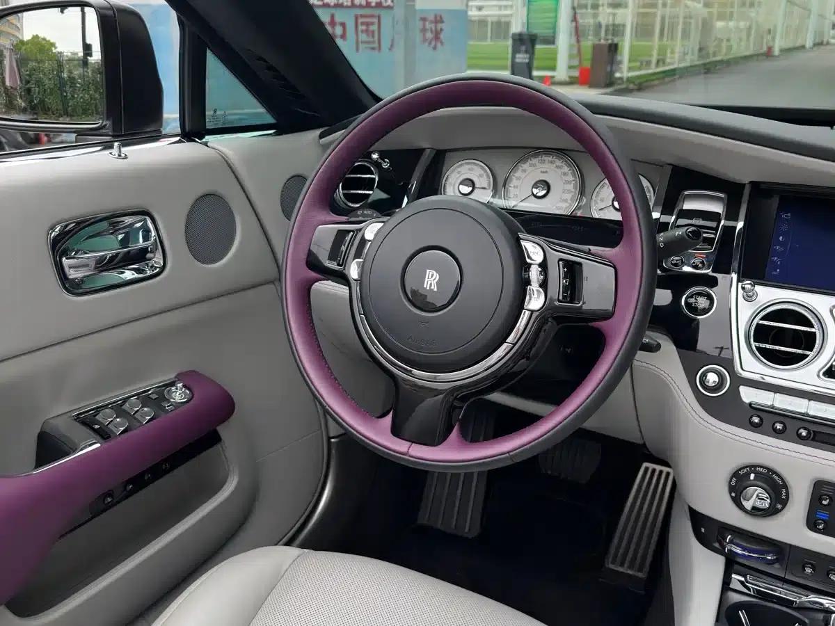 2018 Dawn 6.6T Standard Edition — миниатюра 18