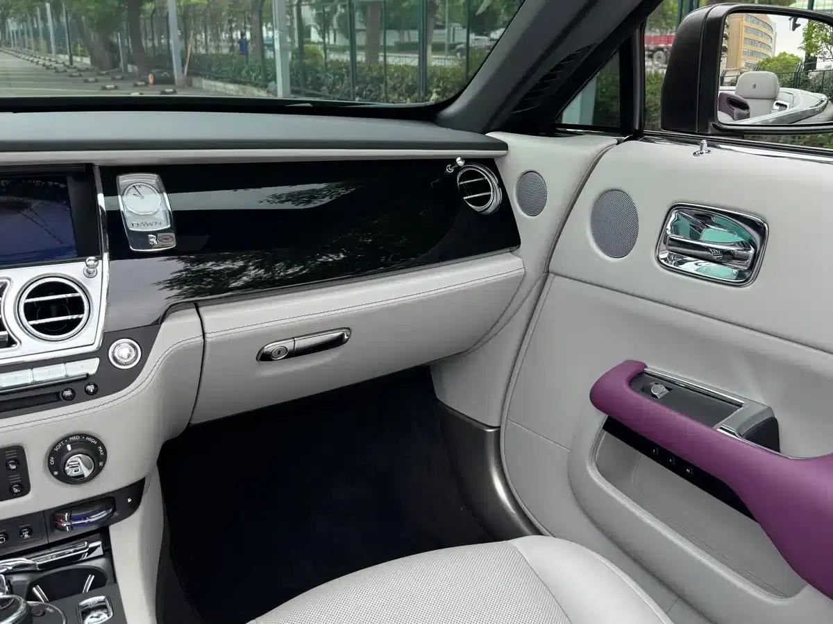 2018 Dawn 6.6T Standard Edition — миниатюра 20