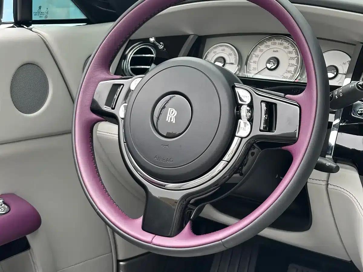 2018 Dawn 6.6T Standard Edition — миниатюра 21