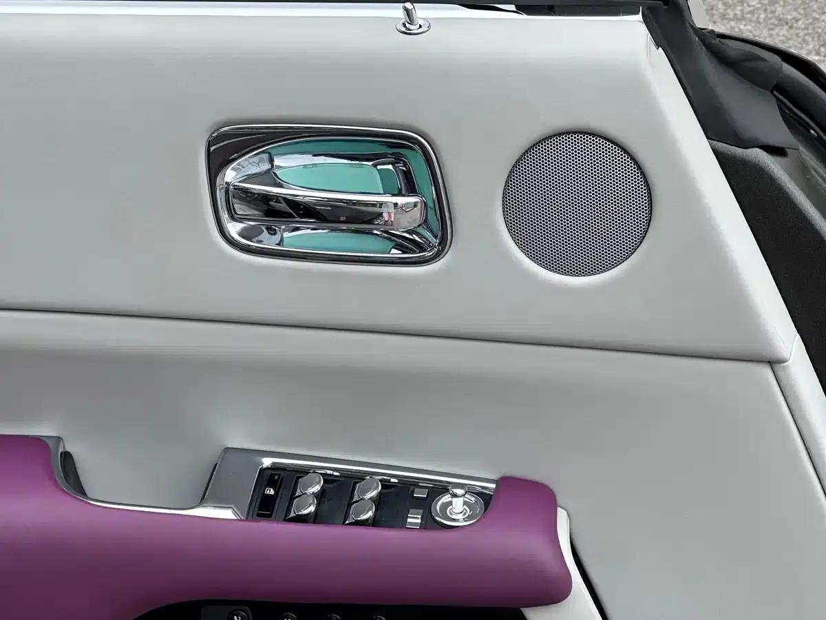 2018 Dawn 6.6T Standard Edition — миниатюра 25