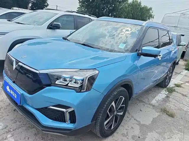 Venucia T60EV 2020 AI Flagship Edition