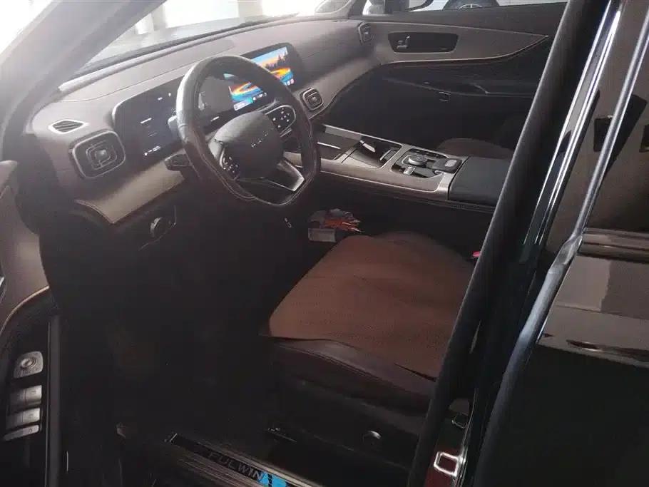 Fengyun T10 2024 Model 210 Luxury Edition — миниатюра 9