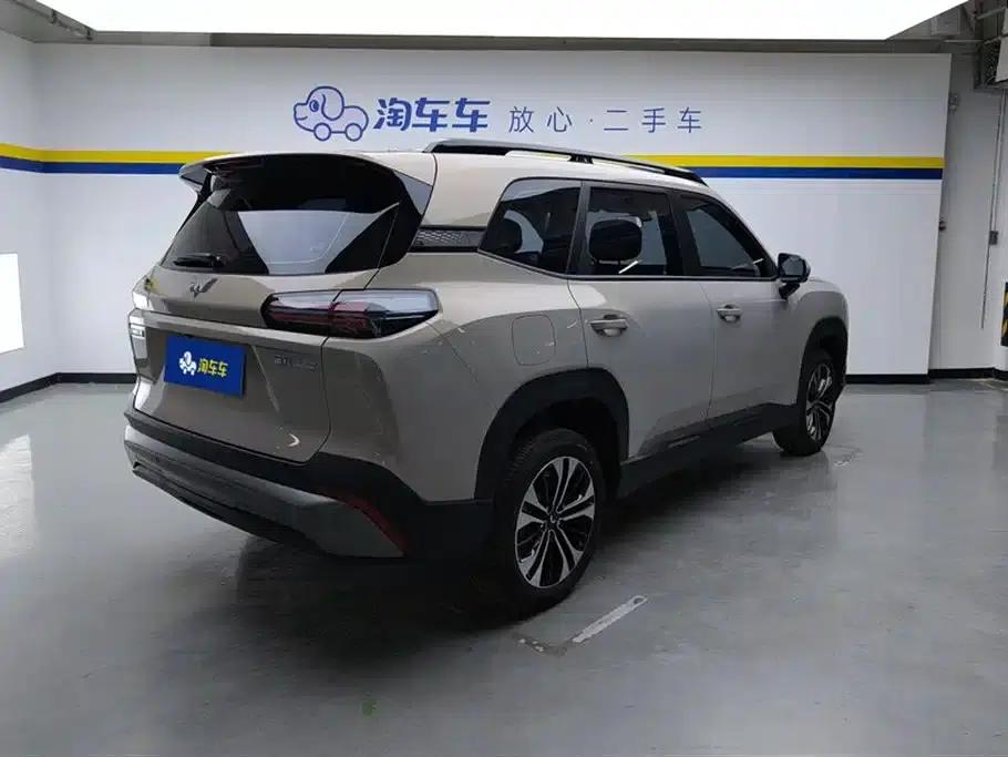Starlight 560 New Energy 2026 Plug-in Hybrid 125km/h Luxury Model — миниатюра 3