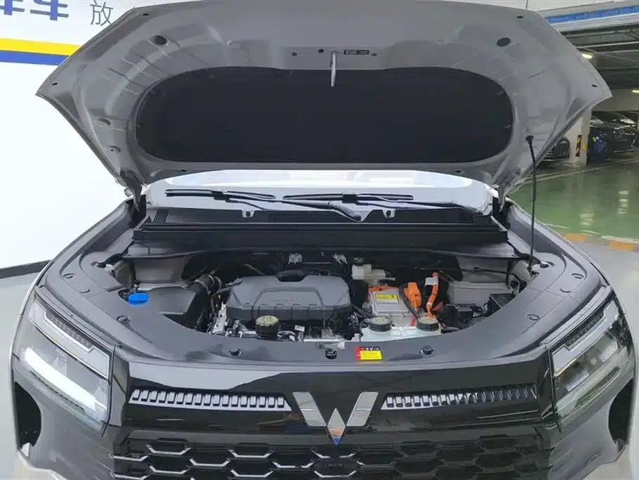Starlight 560 New Energy 2026 Plug-in Hybrid 125km/h Luxury Model — миниатюра 10
