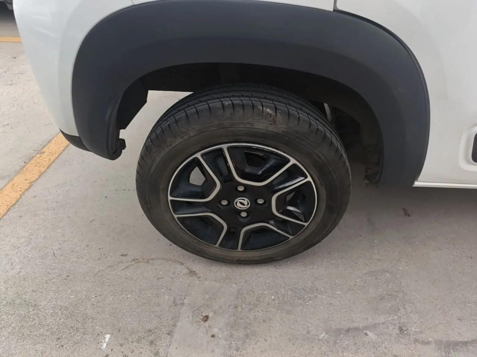 Dongfeng NAMMI EX1 2023 PRO Light Wind Edition Lightning Model — миниатюра 11