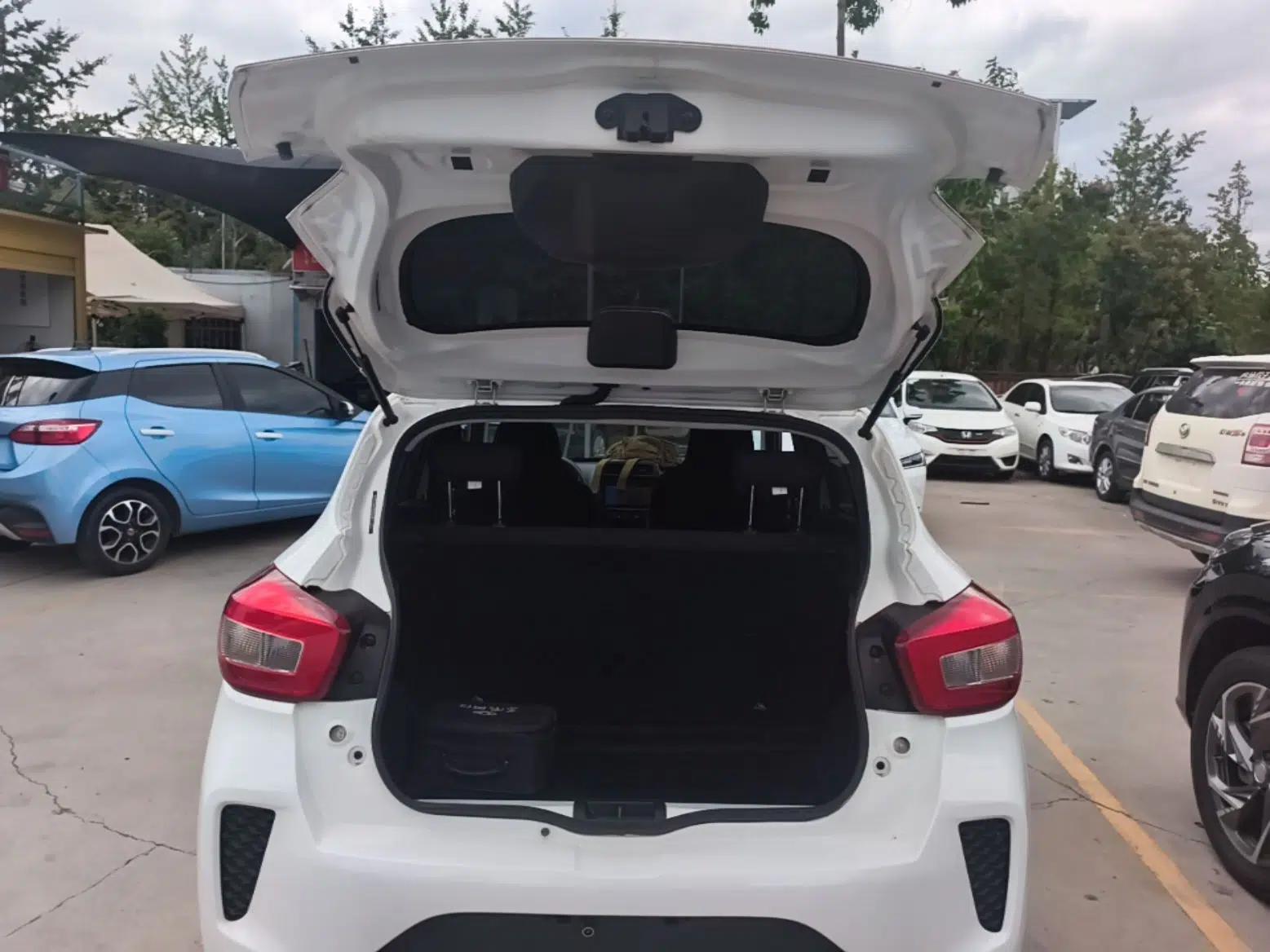 Dongfeng NAMMI EX1 2023 PRO Light Wind Edition Lightning Model — миниатюра 22