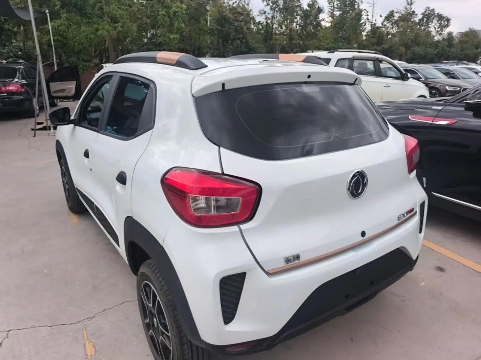 Dongfeng NAMMI EX1 2023 PRO Light Wind Edition Lightning Model — миниатюра 4