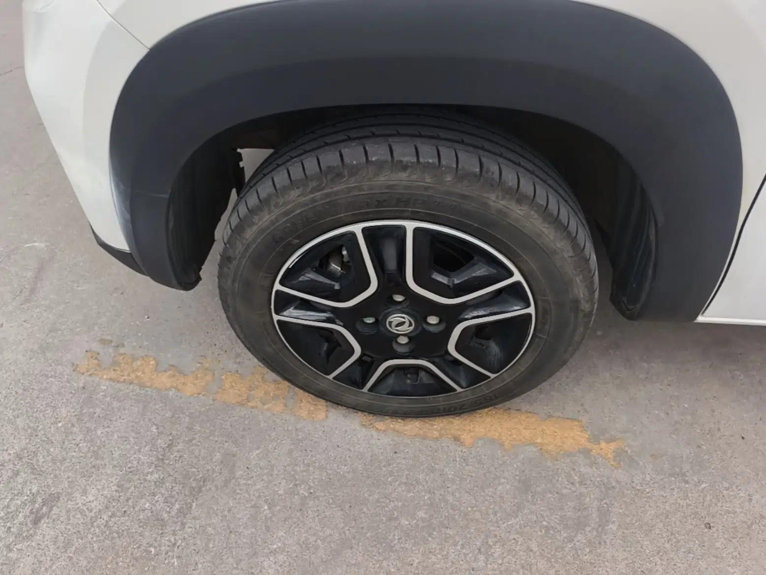 Dongfeng NAMMI EX1 2023 PRO Light Wind Edition Lightning Model — миниатюра 10