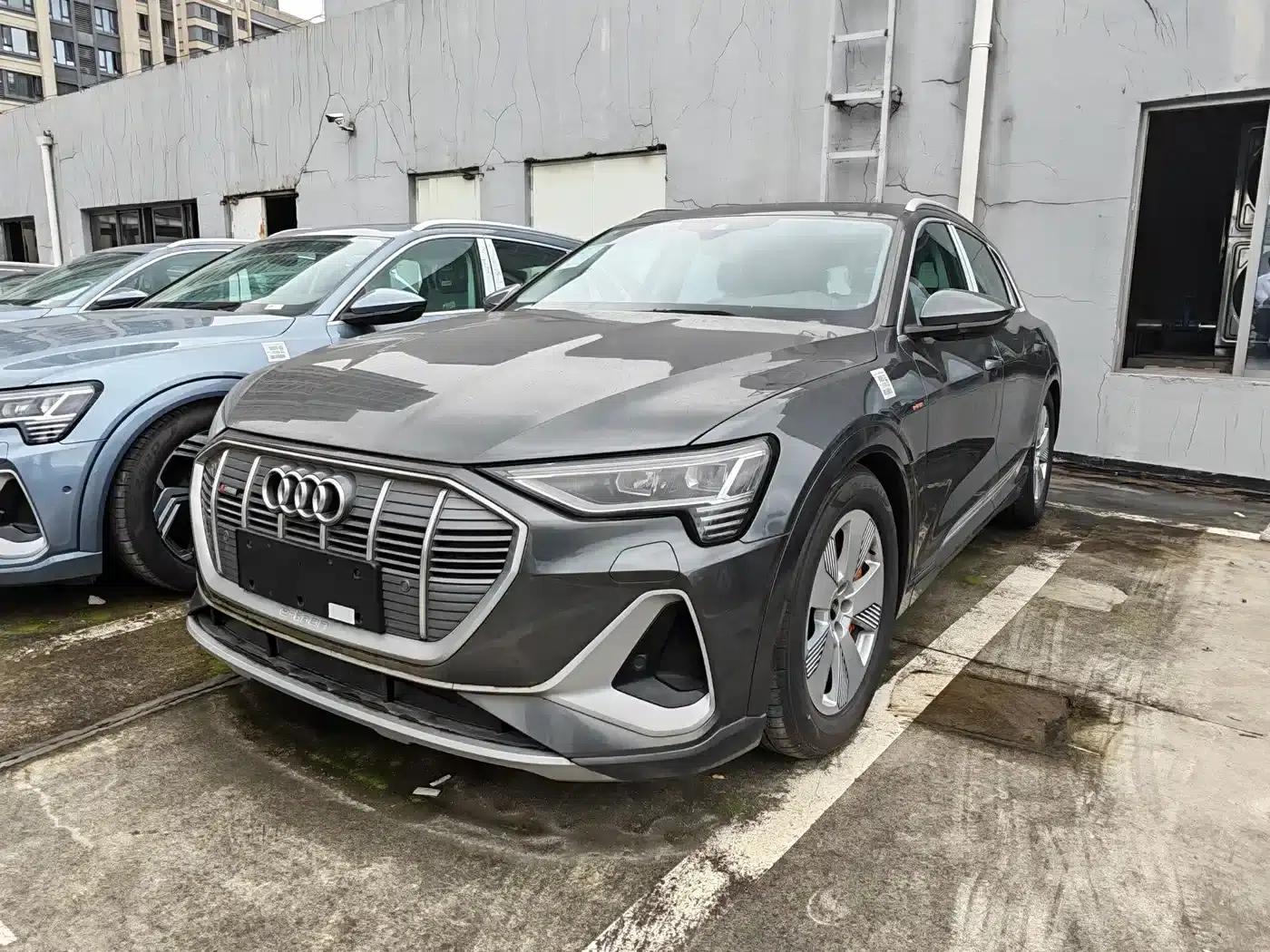 Audi e-tron 2021 50 quattro Luxury — миниатюра 1