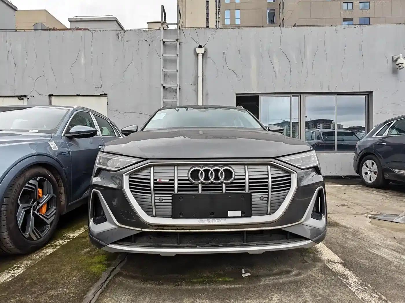 Audi e-tron 2021 50 quattro Luxury — миниатюра 7