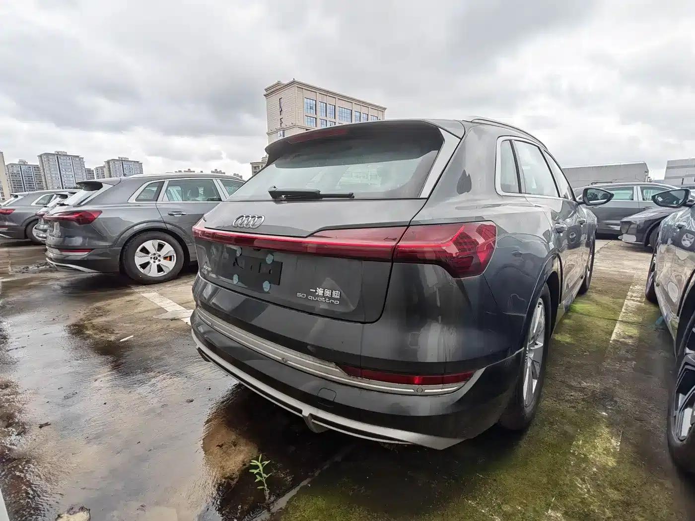 Audi e-tron 2021 50 quattro Luxury — миниатюра 9