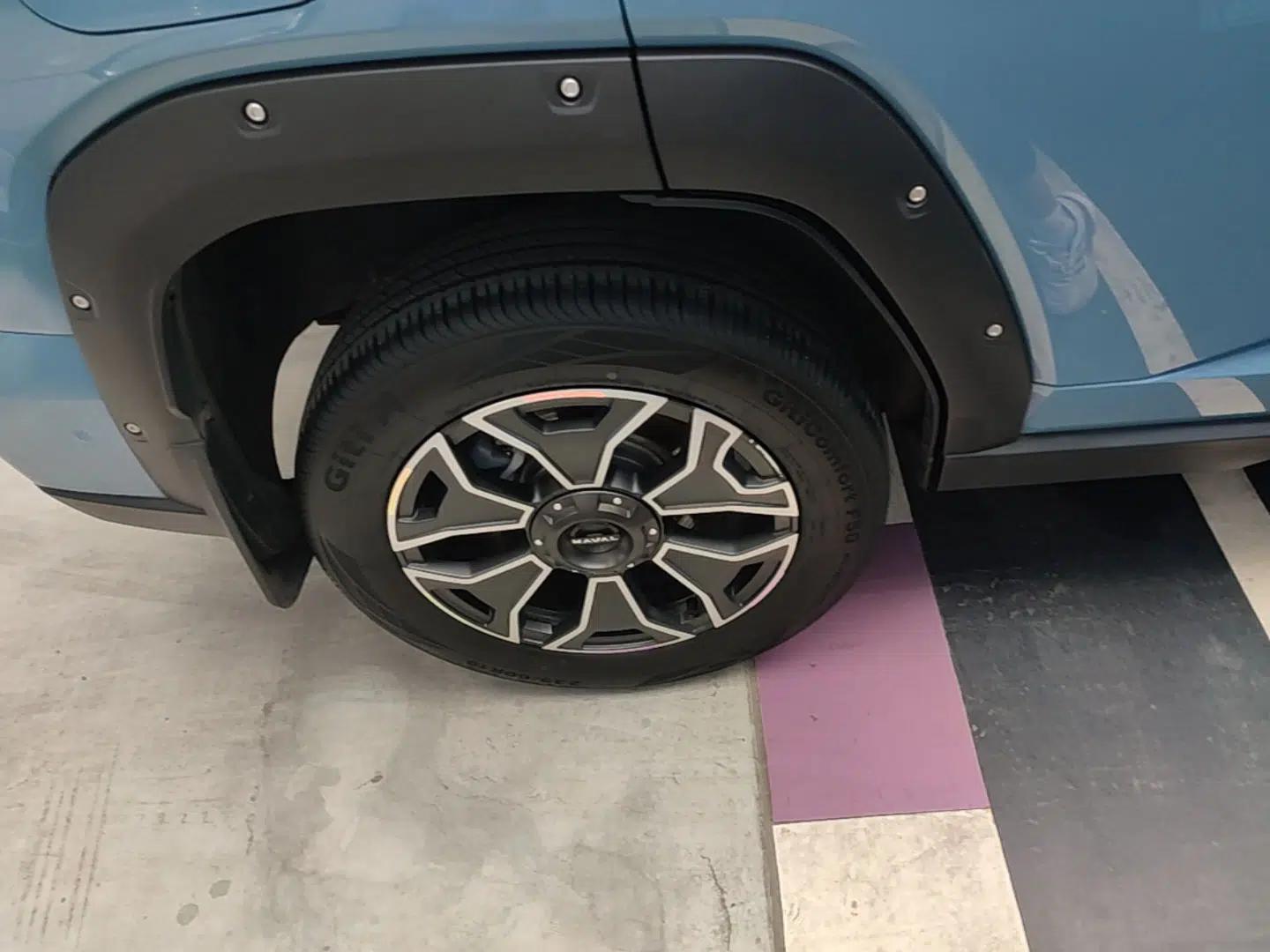 Haval H Dog New Energy 2023 DHT-PHEV 105km Tide Electric Version Plus — миниатюра 11