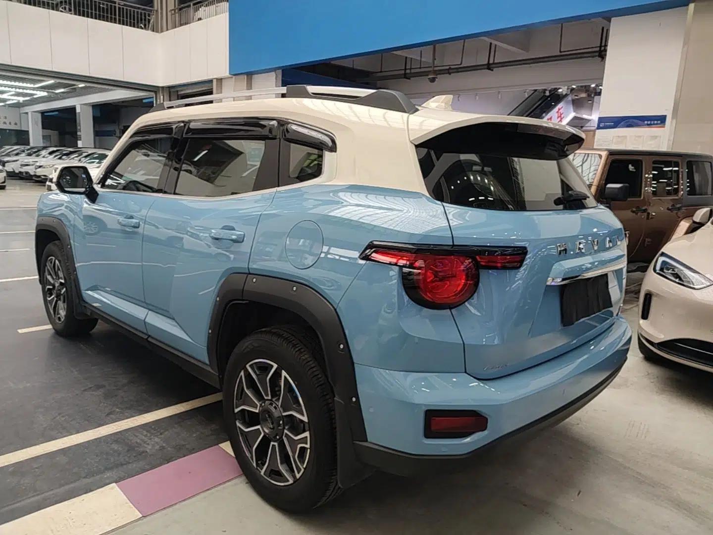 Haval H Dog New Energy 2023 DHT-PHEV 105km Tide Electric Version Plus — миниатюра 4