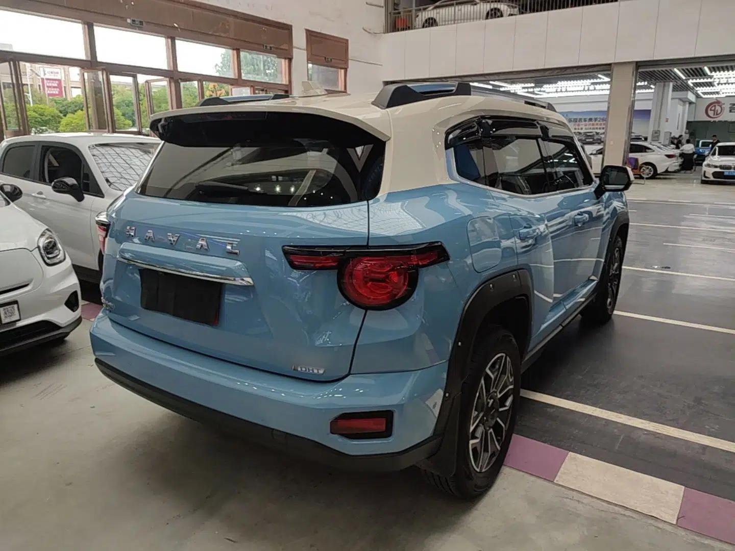 Haval H Dog New Energy 2023 DHT-PHEV 105km Tide Electric Version Plus — миниатюра 6