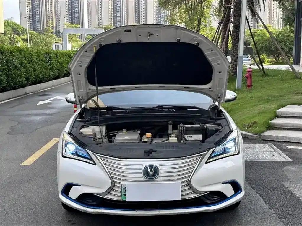 Changan Eado New Energy 2019 EV460 Smart Edition — миниатюра 15