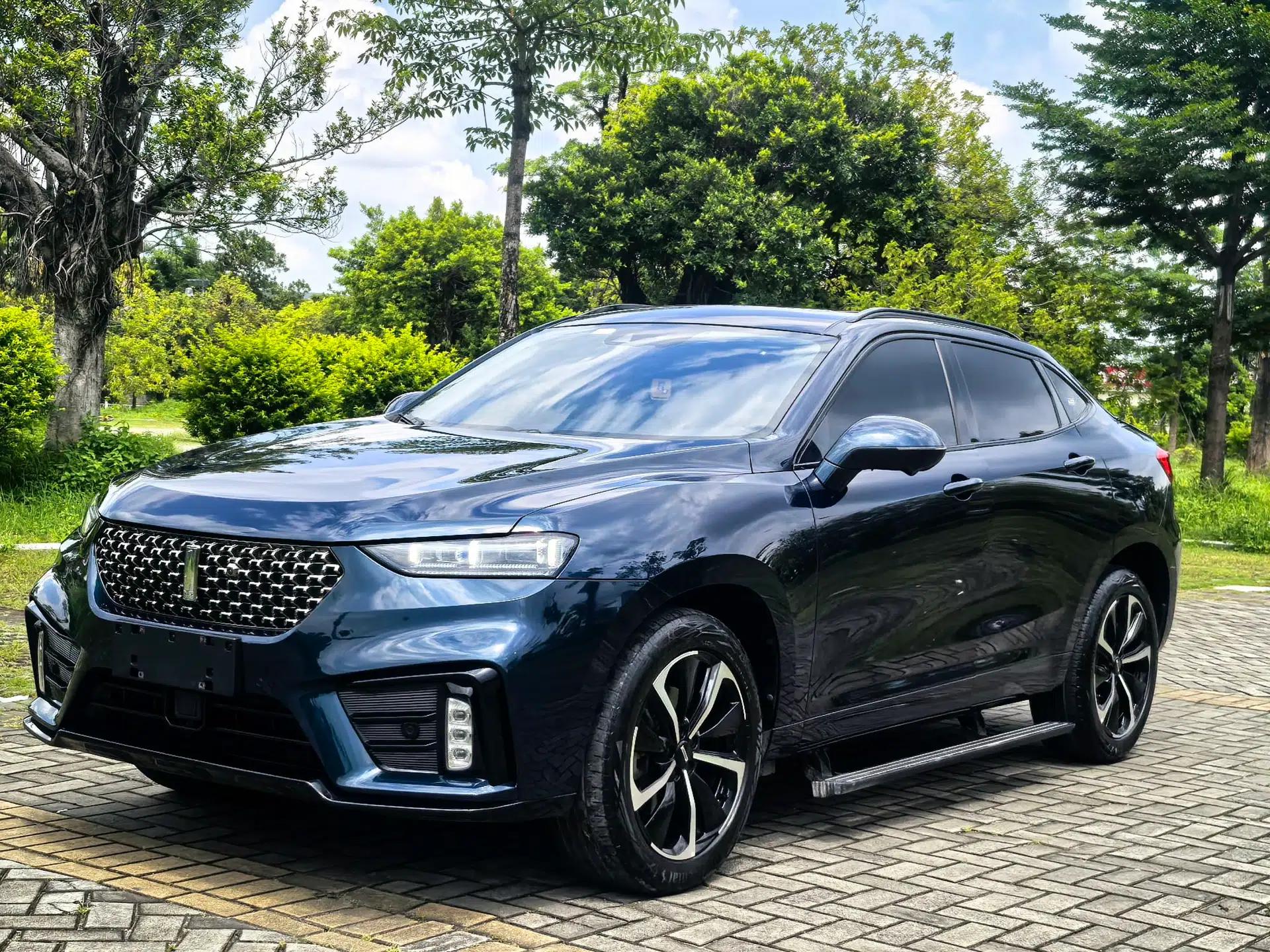 Wey VV7 GT 2020 2.0T Flagship Edition — миниатюра 1