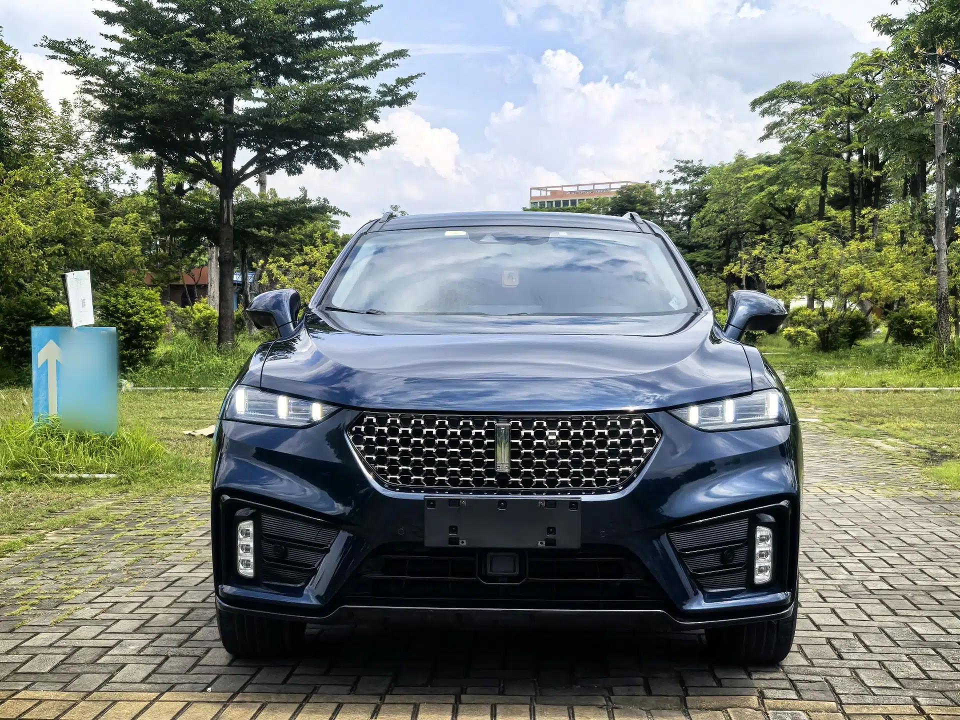 Wey VV7 GT 2020 2.0T Flagship Edition — миниатюра 12