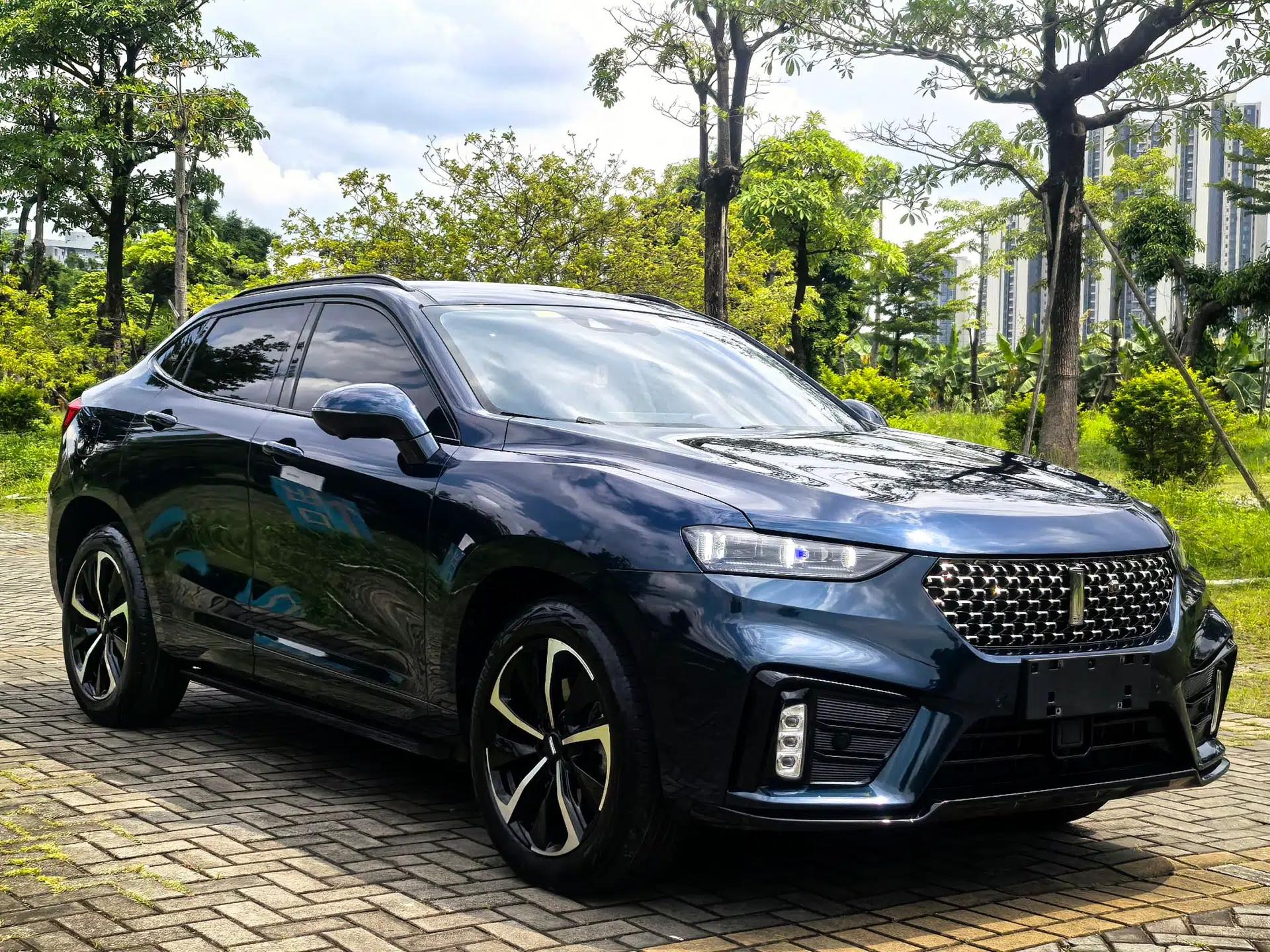 Wey VV7 GT 2020 2.0T Flagship Edition — миниатюра 13