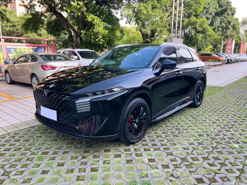 Venucia V 2022 260T Black Horse Edition · Idol — миниатюра 1